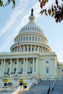 Capitol in Washington, D.C.